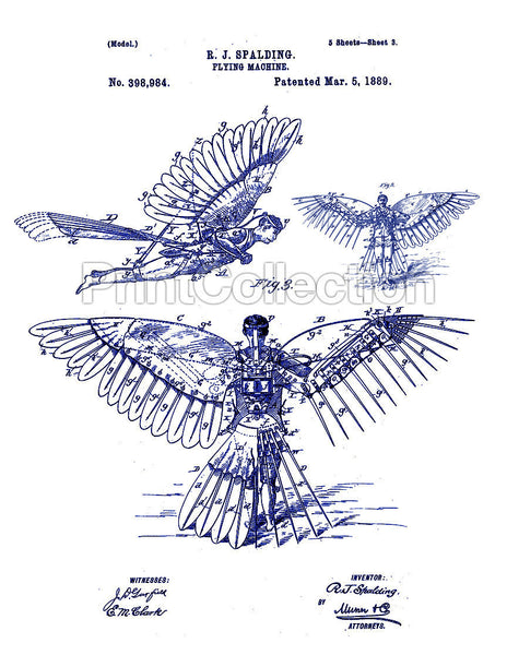 Flying Machine, R. J. Spalding