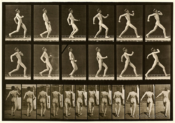 Human Males in Motion Nude Vol 1 - Plate 7