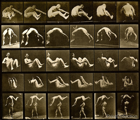Human Males in Motion Nude Vol 2 - Plate 522