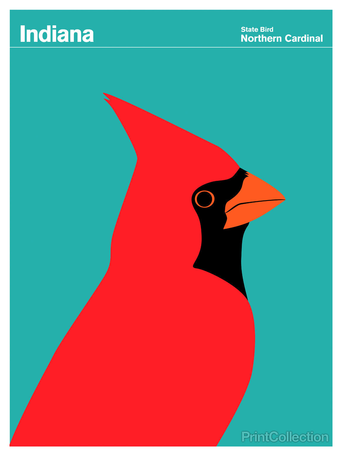 Indiana Northern Cardinal - Main Image