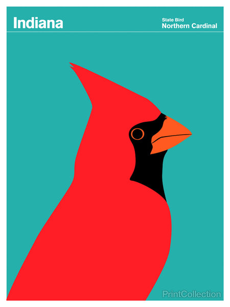 Indiana Northern Cardinal