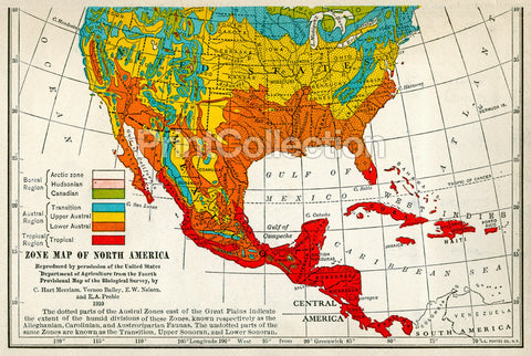 Migration Map of North American Birds 1910