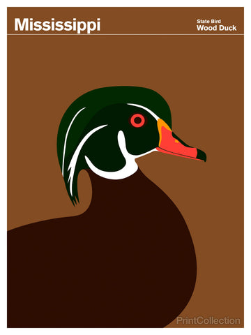Mississippi Wood Duck