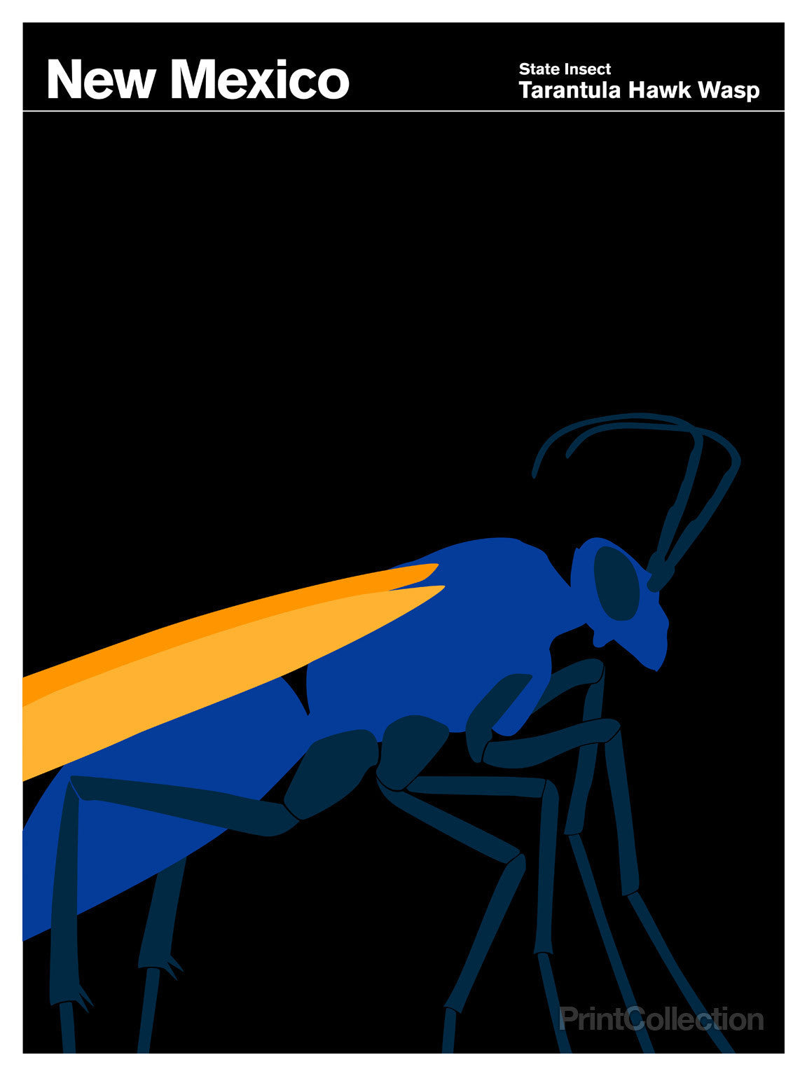 Print Collection - New Mexico Tarantula Hawk Wasp
