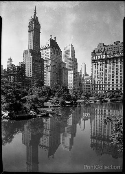 New York city views, from Central Park