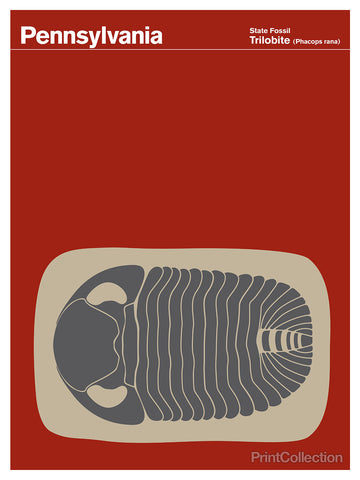 Pennsylvania Trilobite