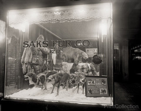 Saks Fur Co., Front with Arctic Display