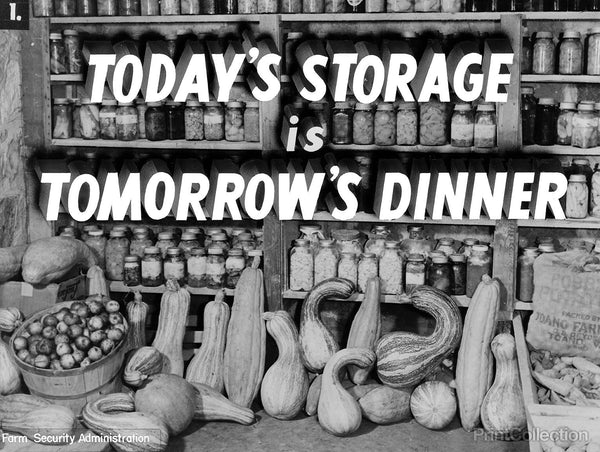 Today's Storage, Tomorrow's Dinner