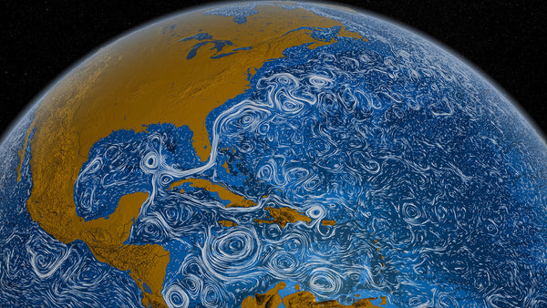 Van Gogh Perpetual Ocean - Gulf Stream